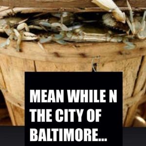 Meet your Posher, Harold